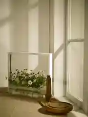 Умный сад Vegebox V-Frame, для выращивания цветов и растений с фитолампой