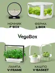 Умный сад Vegebox V-Frame, для выращивания цветов и растений с фитолампой