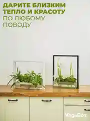Умный сад Vegebox V-Frame, для выращивания цветов и растений с фитолампой