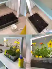 Умный сад Vegebox V-Frame, для выращивания цветов и растений с фитолампой