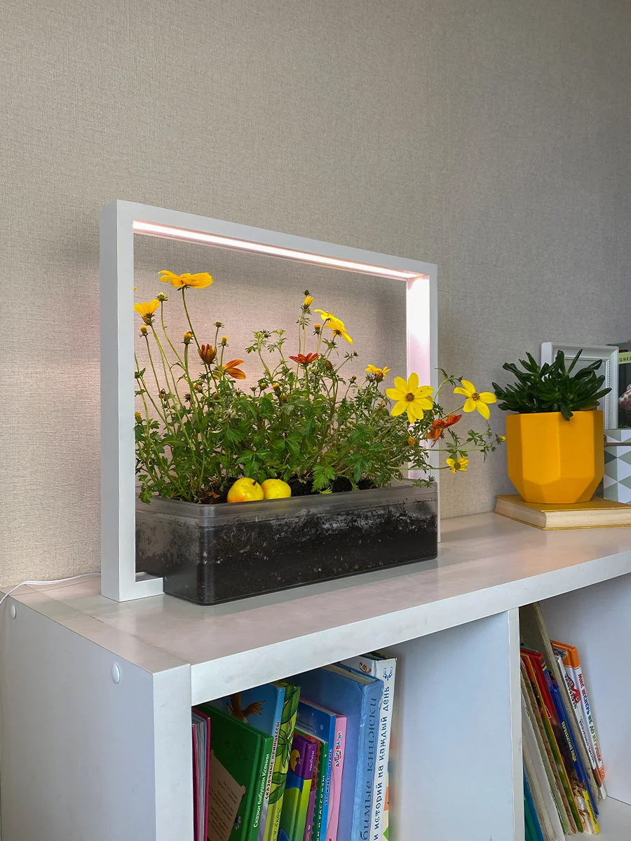 Умный сад Vegebox V-Frame, для выращивания цветов и растений с фитолампой