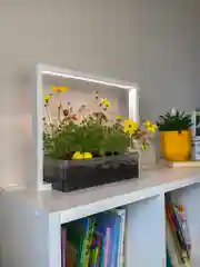 Умный сад Vegebox V-Frame, для выращивания цветов и растений с фитолампой