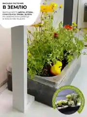 Умный сад Vegebox V-Frame, для выращивания цветов и растений с фитолампой