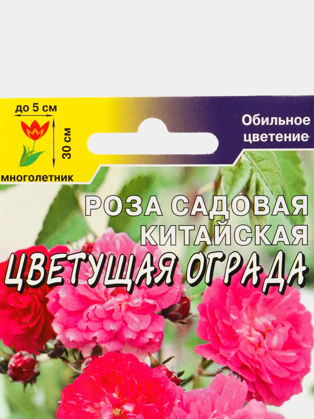 Роза китайская Цветущая ограда (семена,цветы)