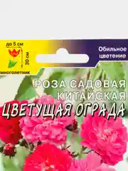 Роза китайская Цветущая ограда (семена,цветы)