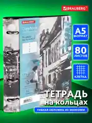 Тетрадь на кольцах со сменным блоком для учебы А5 экокожа, BRAUBERG VISTA, Town, 112121