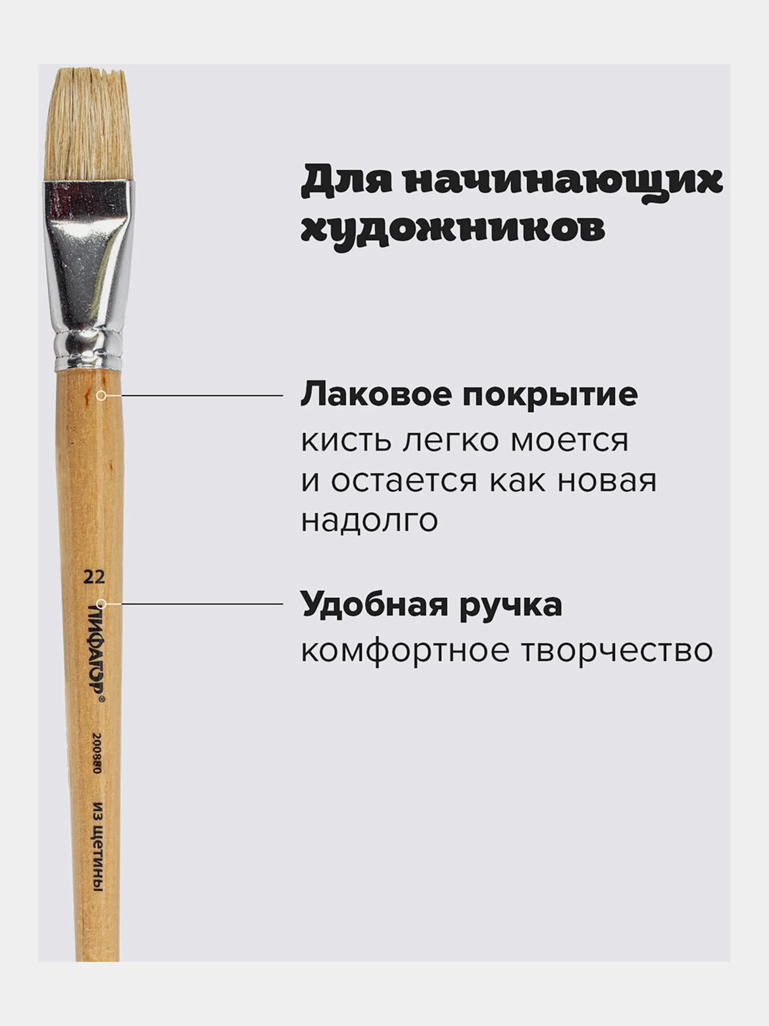 Кисточка (кисть) для рисования, ЩЕТИНА, плоская № 22 деревянная лакированная ручка, 200880