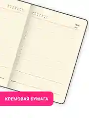 Ежедневник недатированный БОЛЬШОЙ ФОРМАТ 210х297мм А4, BRAUBERG, 160л,черный, 113284