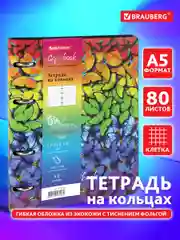 Тетрадь на кольцах со сменным блоком для учебы А5 BRAUBERG VISTA Butterflies, 112128