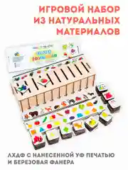 Сортер классификатор с карточками "Развивайка" , развивающие игры для детей, подарки