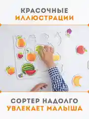Деревянный сортер, для детей, сортер "Фрукты", настольные игры
