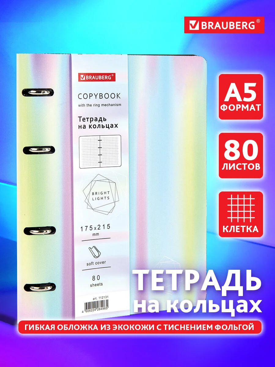 Тетрадь на кольцах со сменным блоком для учебы А5 BRAUBERG VISTA, 112131