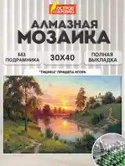 Алмазная мозаика Остров Сокровищ Тишина, 663858, без подрамника 30x40 см, картина стразами