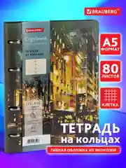 Тетрадь на кольцах со сменным блоком для учебы А5, BRAUBERG VISTA, Avenue, 112137