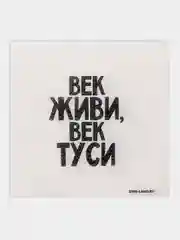 Лазурный салфетки бумажные однослойные, с приколом, 24 х 24 см, 20 штук, 17 вариантов