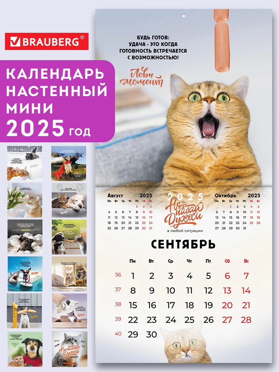 Календарь настенный на 2025 год перекидной, Brauberg, 12 листов, 22,5х22,5см, Мини