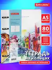 Тетрадь на кольцах со сменным блоком для учебы А5 BRAUBERG VISTA, Travel, 112136