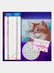 Алмазная мозаика Остров Сокровищ Кот, 663873, без подрамника 40x50 см, картина стразами