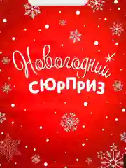 Алый пакет подарочный "Новогодний", полиэтиленовый с вырубной ручкой, 20 x 30 см, 30 мкм