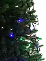 Гирлянда Цветная 100LED 8м