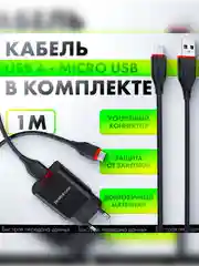Угольный сетевое зарядное устройство Borofone BA20A 5V/2.1A 1 x USB, с кабелем Micro-USB type-c
