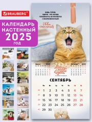 Календарь настенный на 2025 год перекидной, Brauberg, 12 листов, 29х29см, Не падай духом