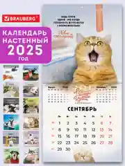 Календарь настенный на 2025 год перекидной, Brauberg, 12 листов, 29х29см, Не падай духом