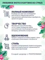 Алмазная мозаика по фото "Photosnake" набор для создания картины Classic