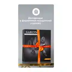 Фен GARLYN Air Multi Pro