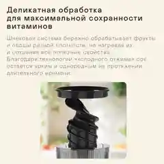 Соковыжималка шнековая GARLYN J-400