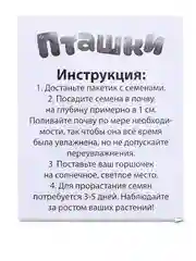 Набор для опытов, для детей Пташки, выращиваем травку, растение в жёлтом горшочке
