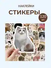 Белый наклейки-стикеры капибара, котики, винтажные, игра PUBG, бутылки вина