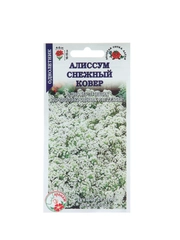 Семена цветов Алиссум "Снежный ковер", 0,1 г (10299735)