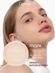 Пудра компактная Divage True Color тон 1