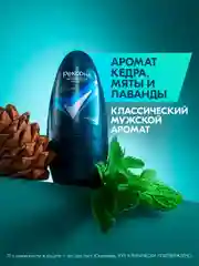 Дезодорант антиперспирант Рексона men Мужской шариковый кобальт, 50 мл