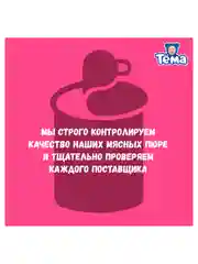 Пюре мясное Тема с индейкой с 6 мес. 90г