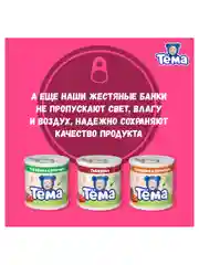 Пюре мясное Тема с индейкой с 6 мес. 90г