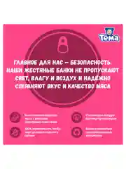 Пюре Тема с цыпленком, кабачками, морковью и рисом с 6 мес. 90г