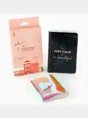 Коралловый меланж подарочный набор на новый год "Самой стильной": обложка для паспорта и визитница