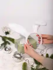 Ушки зайчика
