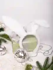 Ушки зайчика