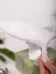Ушки зайчика