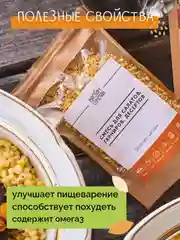 Смесь семян для салатов, гарниров, десертов НАСТИН СЛАСТИН с Золотистым льном, 100г