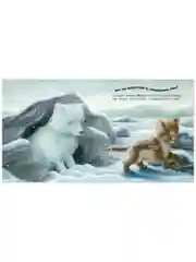 Книжки-картинки. В стране снежных чудес