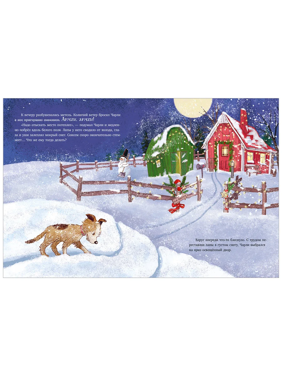 Книжки-картинки. Новый дом на новый год