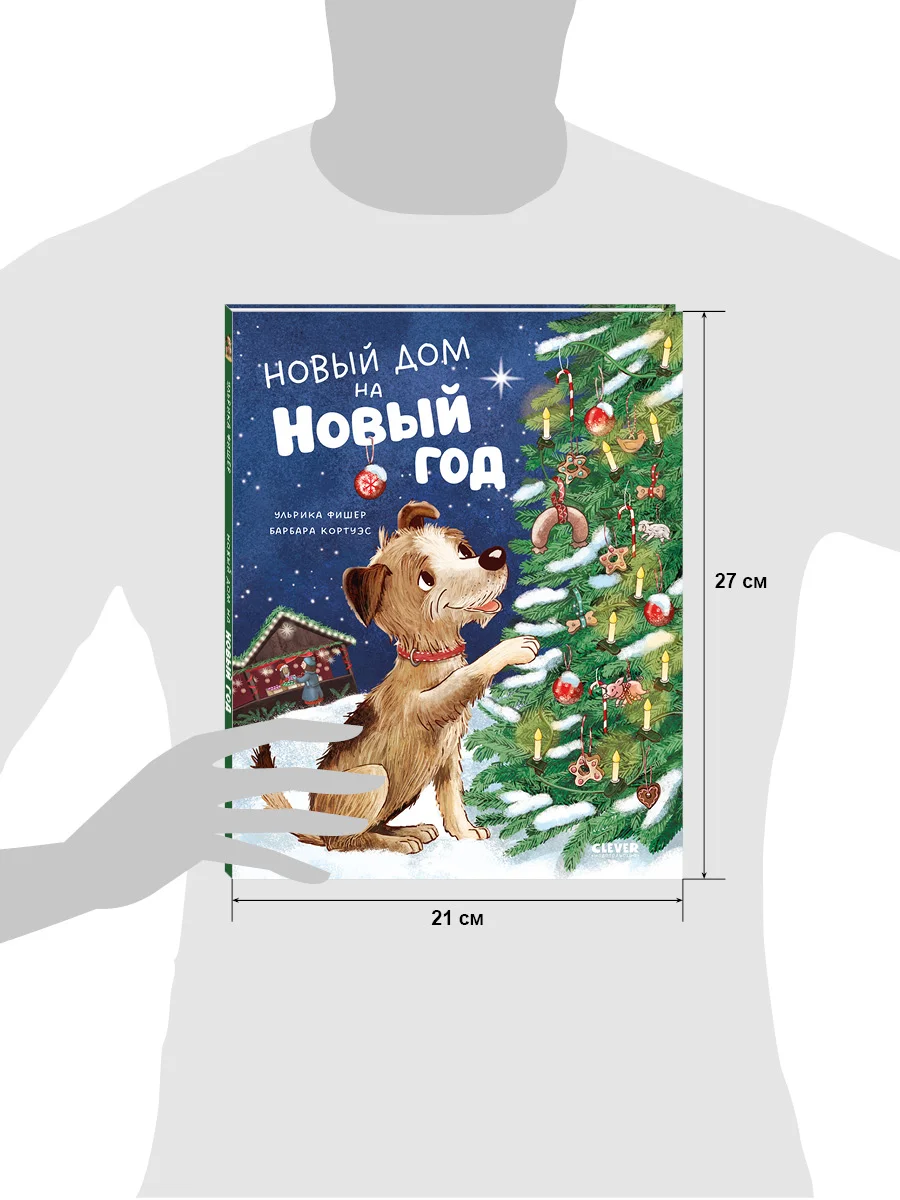 Книжки-картинки. Новый дом на новый год