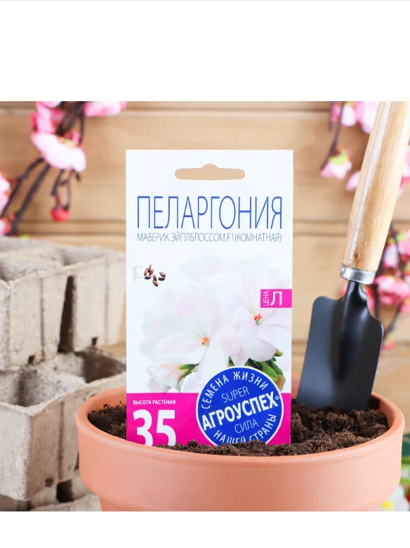 Семена комнатных цветов Пеларгония "Эйплблоссом", 4 шт