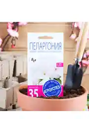 Семена комнатных цветов Пеларгония "Эйплблоссом", 4 шт