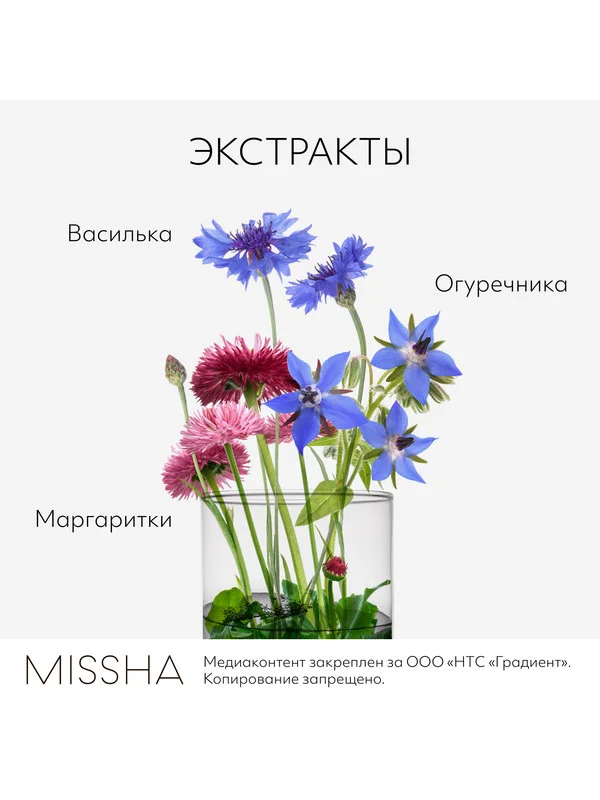 Двухфазное средство для снятия макияжа с глаз и губ MISSHA Perfect Lip&Eye, 155 мл