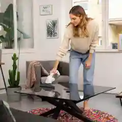 Стеклоочиститель Karcher WV 1